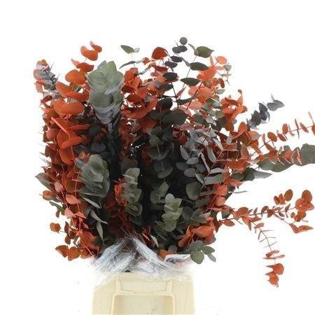 <h4>DECOGROEN OV KLB H%</h4>