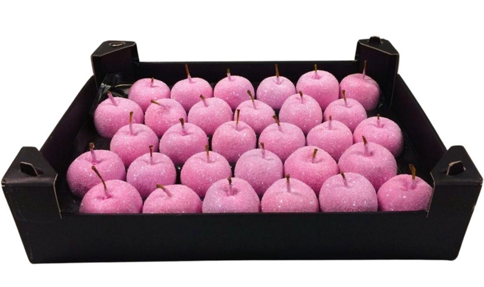 <h4>Waxappel Gl Pinkrose</h4>