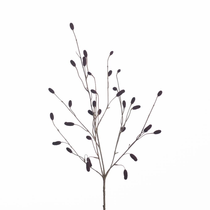 <h4>AF Sanguisorba x5 L97cm burg</h4>