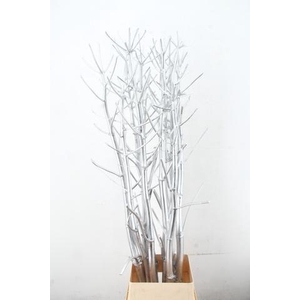 Ferule Kapstok Silver