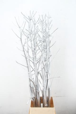 <h4>Ferule Kapstok Silver</h4>