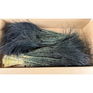 DF Stypha 60cm Bs Black