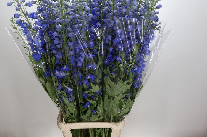 <h4>Delph Du Elatum Candle Blue</h4>