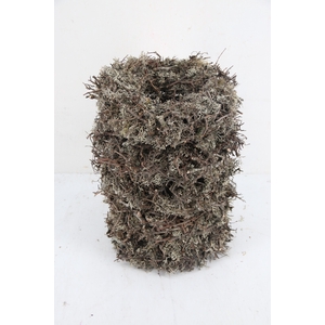 Wreath Grey Moss Bonsai Ø30