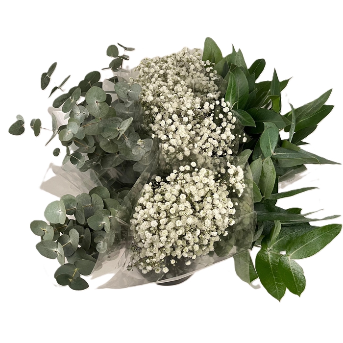 Bq Mono Eucalyptus - Gyps mix