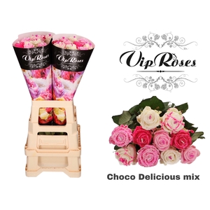 R GR CHOCO DELICIOUS MIX X20