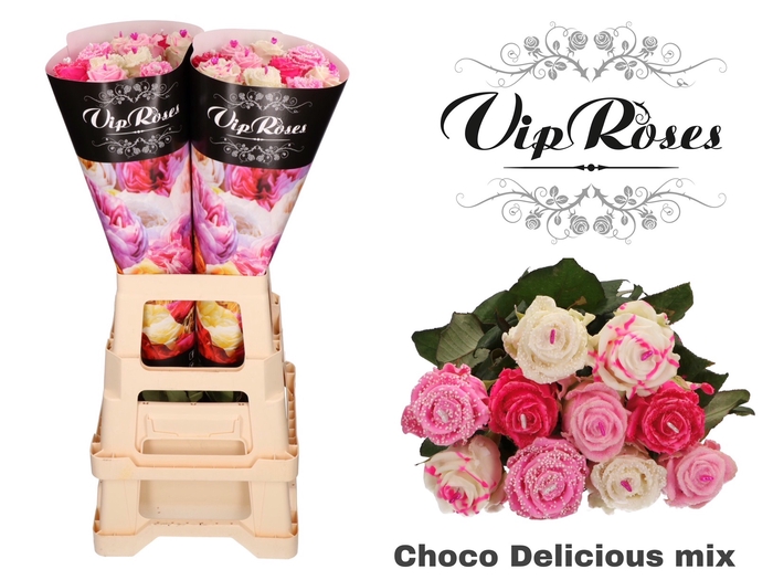 R GR CHOCO DELICIOUS MIX X20