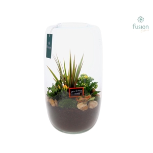 Green Bottle Isabella XXLarge Grootmoederdag met arrangement