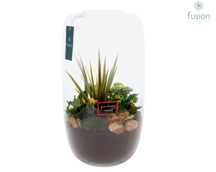 <h4>Green Bottle Isabella XXLarge Grootmoederdag met arrangement</h4>