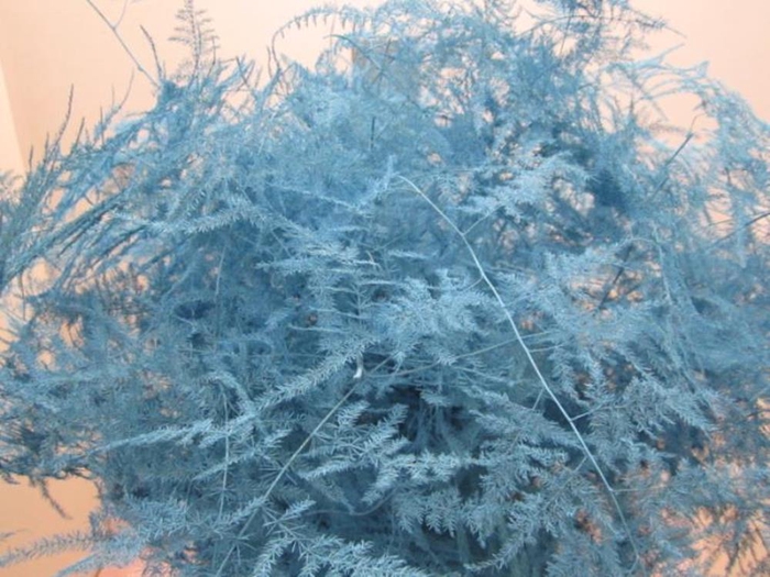<h4>Asp Lang Get Ice Blue</h4>