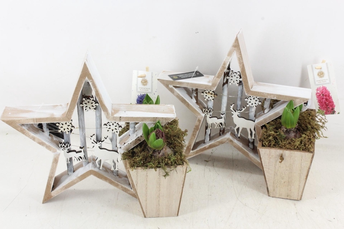 <h4>arr4 Hyacint FL - Houten ster LED</h4>