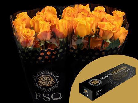 <h4>R Gr Aloha Box</h4>