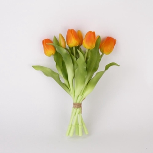 AF Tulip bundle x7 L30cm or