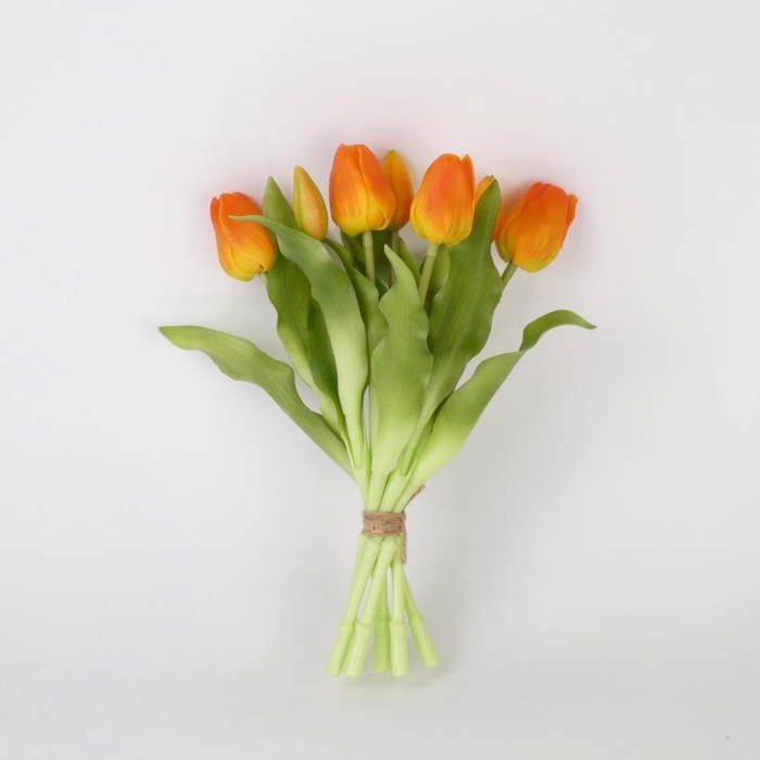 <h4>AF Tulip bundle x7 L30cm or</h4>