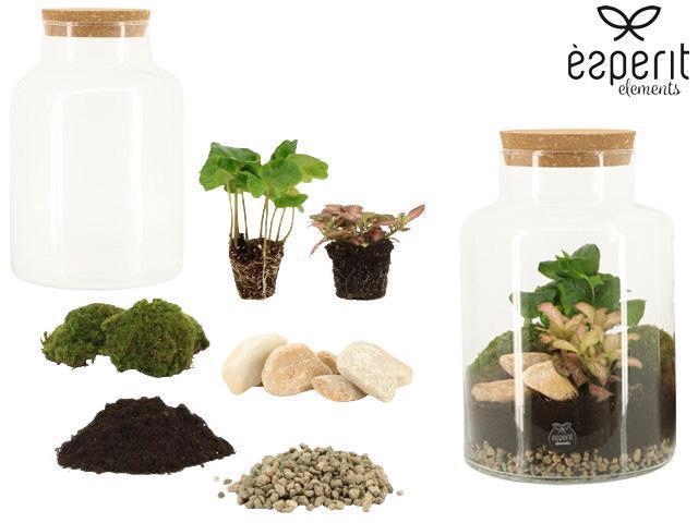 <h4>90854: DIY Terrarium Large Melkbus D17 / H25</h4>
