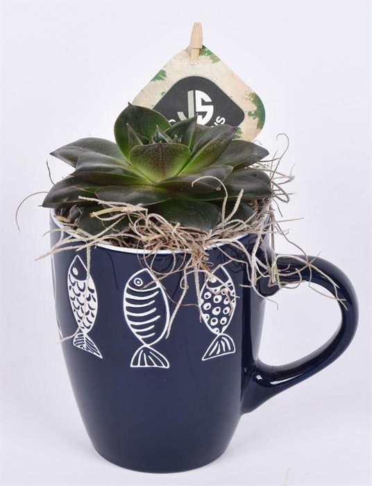 <h4>Keramiek mok visjes. 9cm</h4>