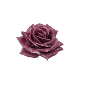 WAX ROSE D10 AUBERGINE
