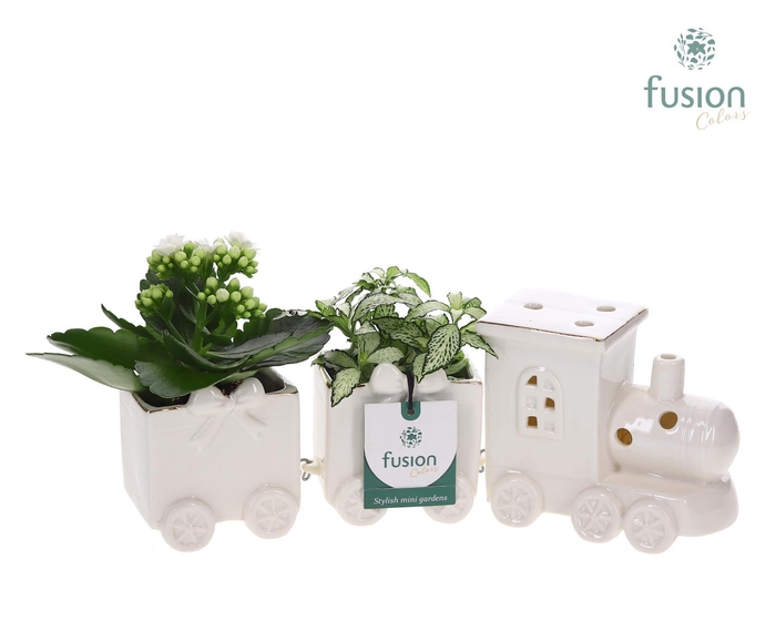 <h4>Keramiek Trein Medium met Arrangement</h4>