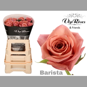 R GR BARISTA