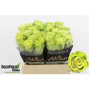 R Gr Green Generatio