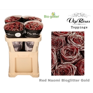 R GR RED NAOMI BIO GLITTER GOLD