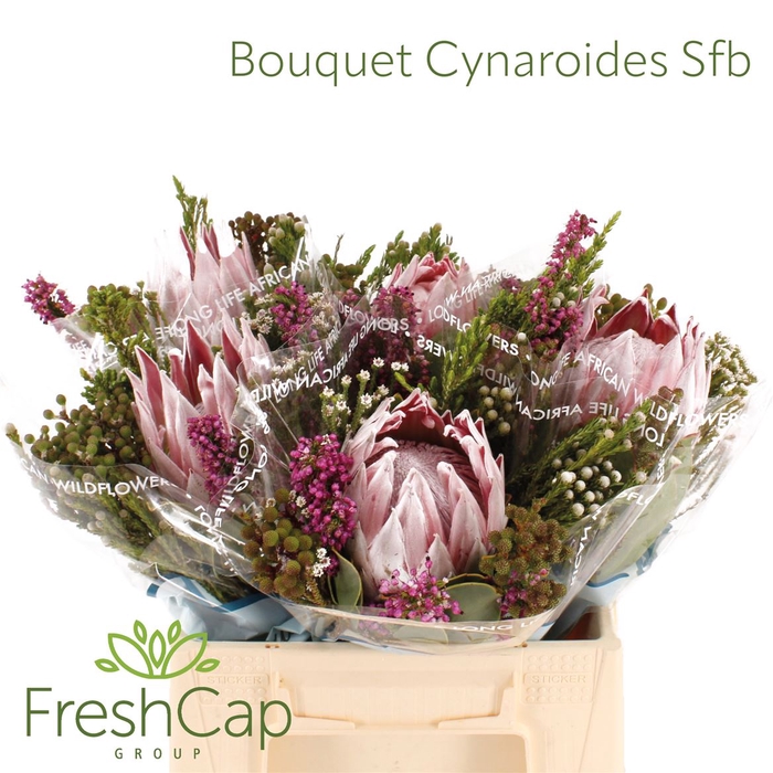 <h4>Bouquet Cynaroides Sfb</h4>