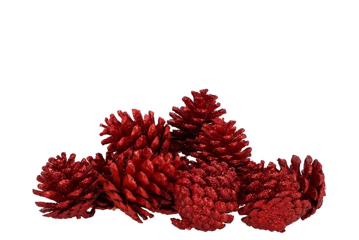 <h4>Nature Pinecone Red Glitter Ass P/12</h4>