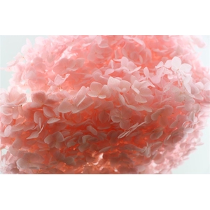 Pres Hydrangea Lightpink Bunch