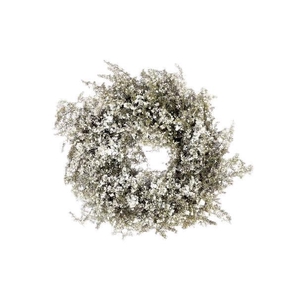 Wr Asparagus Snow 30cm