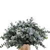 EUC. CINEREA AIR 300GR