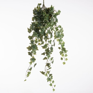 Af Hangpl Hedera L105cm Groen