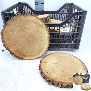 Houtschijven / Berkenschijven