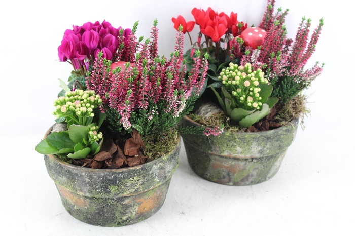 <h4>arr4 Outdoor MB - Cement pot 338/3</h4>