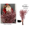 ILEX METALLIC ROSÉ 60 cm