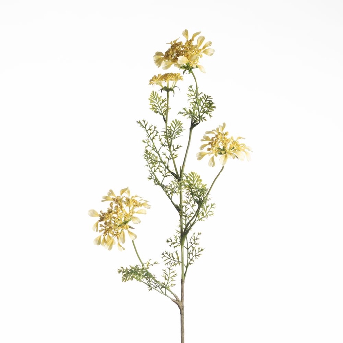 <h4>AF Daucus Carota L96cm Yellow</h4>