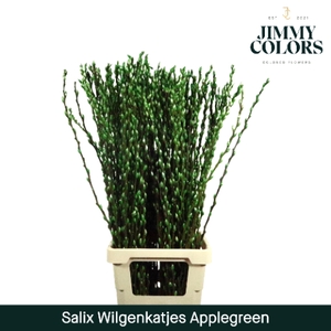 Salix Katjes L90 Klbh. Appel Groen