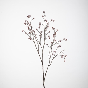 AF Kerria Plenifl. L100cm D.pi