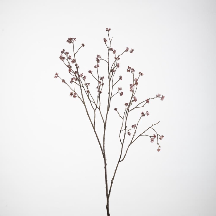 <h4>AF Kerria Plenifl. L100cm D.pi</h4>