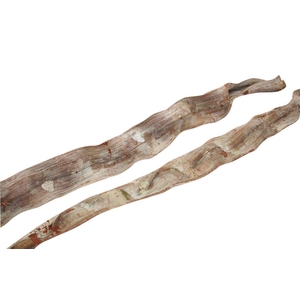 Cipo Escada 6-8 L200 Cm