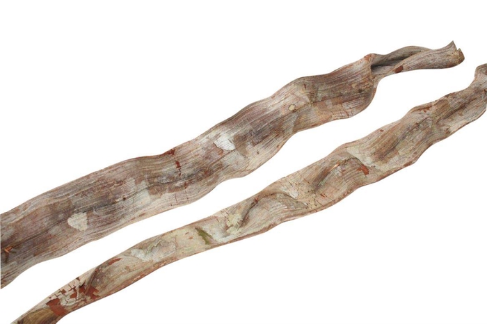 <h4>Cipo Escada 6-8 L200 Cm</h4>