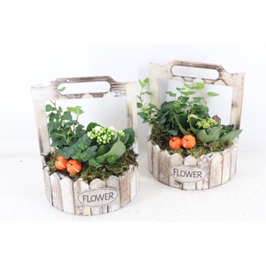 arr2 TD - Hout planter half rond - oranje/wit