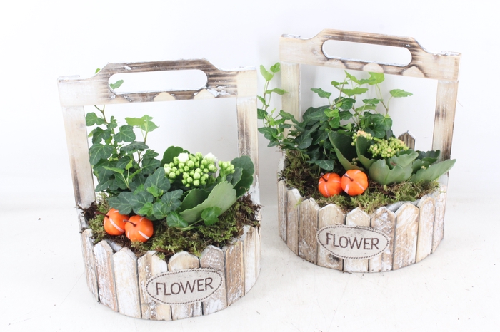 <h4>arr2 TD - Hout planter half rond - oranje/wit</h4>