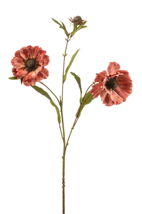 <h4>Aster spray mauve 76cm</h4>
