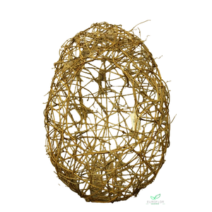 CLEMATIS EI OPEN 60CM