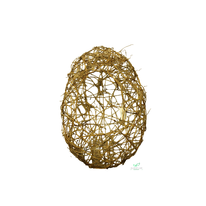 <h4>CLEMATIS EI OPEN 60CM</h4>