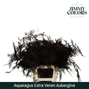 Aspa extra veren Aubergine