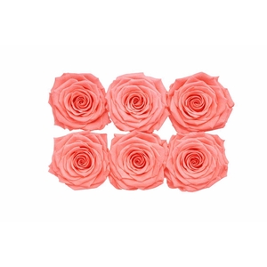 Ro Pres Classic Pink Light