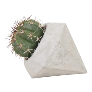 CACTACEAE P9 DIAMOND