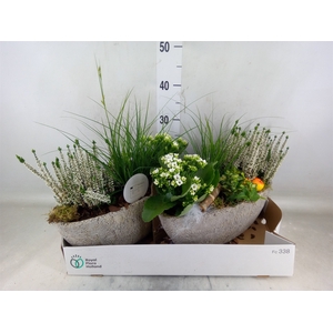 Arr.   Tuinplanten L%