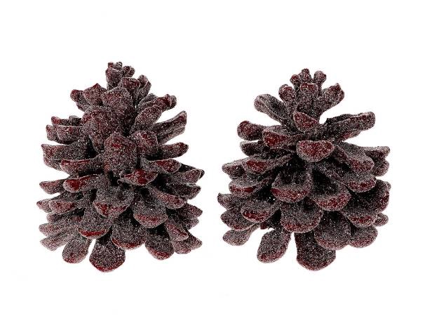 Pinecone Pinea Wax Sugared 2 Pcs Slv L19W12H14